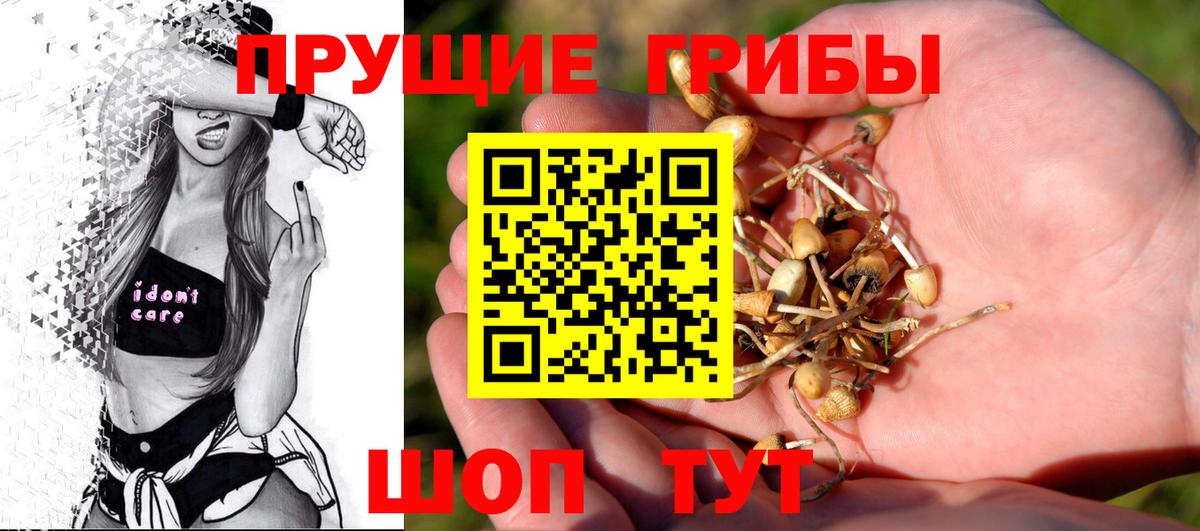 Люберцы  Псилоцибиновые грибы ЛСД  Вход с VPN 